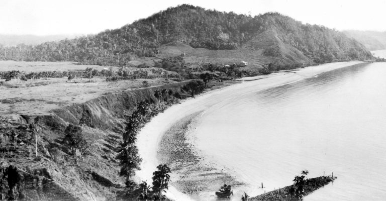 Historical photograph of Clump Point from a vantage point showing the bay