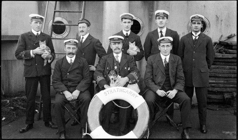 A crew sitting on a boat posing for a photo with their ship dogs