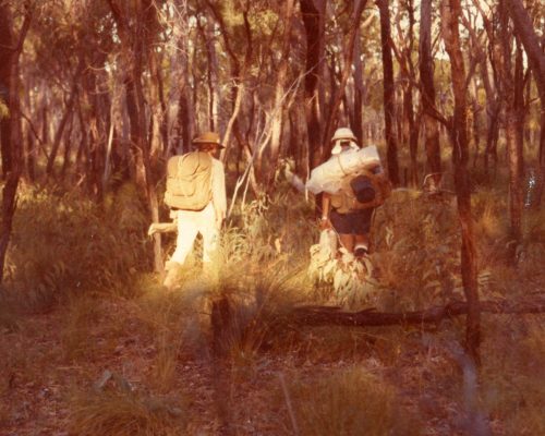Eddy Oribin and Percy Trezise heading bush, courtesy Heinz Steinmann